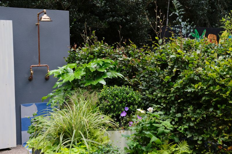 Local Plumbing Experts